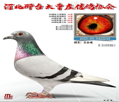 60�ر�����53��