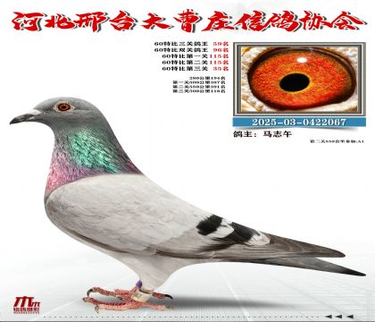 60�ر�����59��