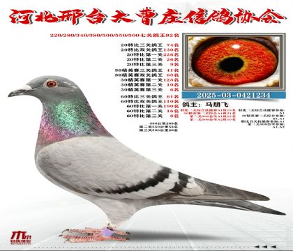 60�ر�����61��,20�ر�����74��