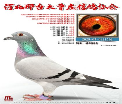 60�ر�����63��,���P(gu��n)����33��