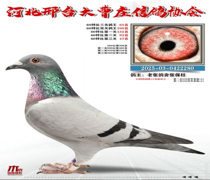 60�ر�����65��