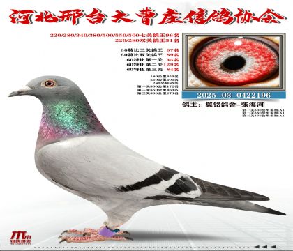 60�ر�����67��