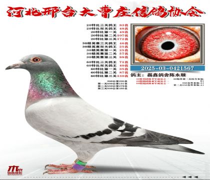 60�ر�����71��,20�ر�����83��