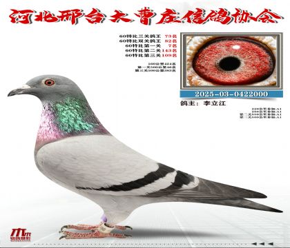 60�ر�����73��