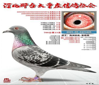 60�ر�����77��,���P(gu��n)����22��,700����13��