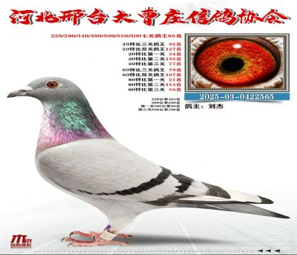 60�ر�����79��,20�ر�����92��