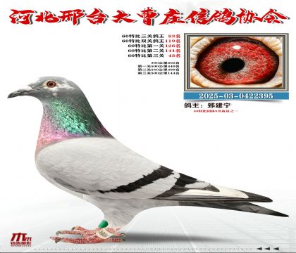 60�ر�����83��