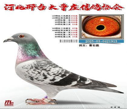 60�ر�����87��