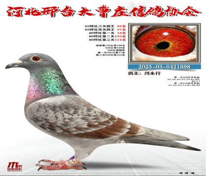 60�ر�����89��