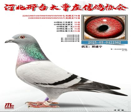 60�ر�����91��