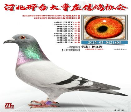 60�ر�����93��