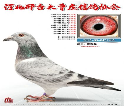 60�ر�����95��