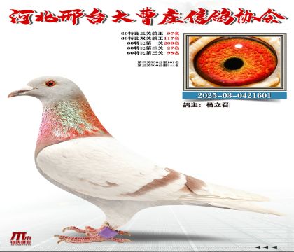 60�ر�����97��