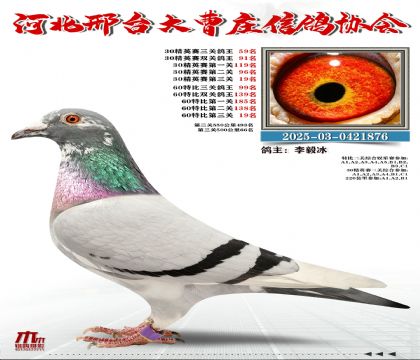 60�ر�����99��