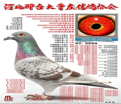 60�ر�������܊,20�ر�������܊