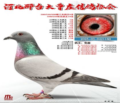 60�ر�������܊,20�ر�����5��