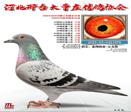 60�ر�����6��,20�ر�����11��