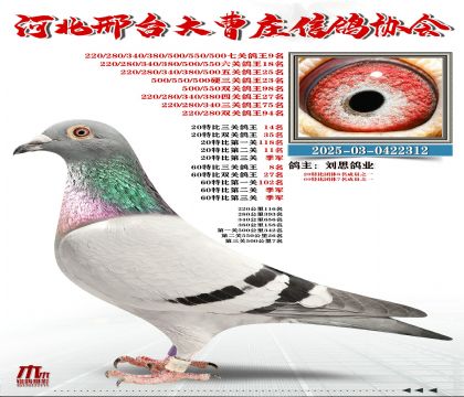 60�ر�����8��,20�ر�����14��