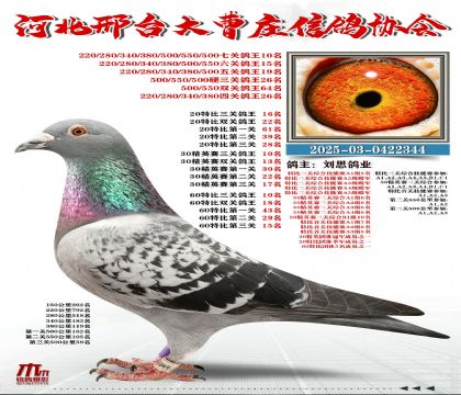 60�ر�����10��,20�ر�����16��