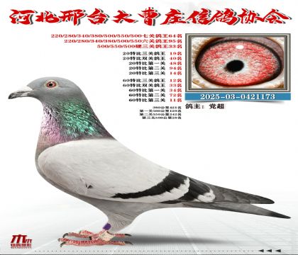 60�ر�����12��,20�ر�����19��