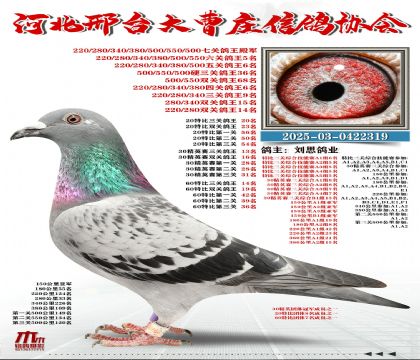 60�ر�����14��,20�ر�����20��