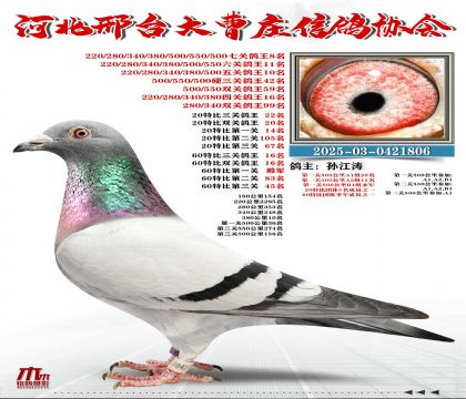 60�ر�����16��,20�ر�����22��