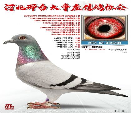 60�ر�����18��,���P(gu��n)����7��