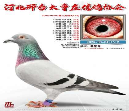 60�ر�����20��,20�ر�����32��