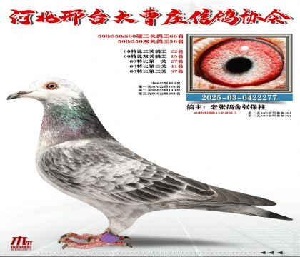 60�ر�����22��