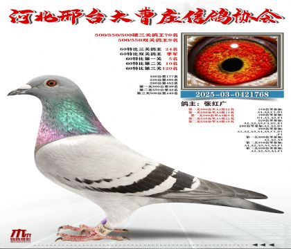 60�ر�����24��