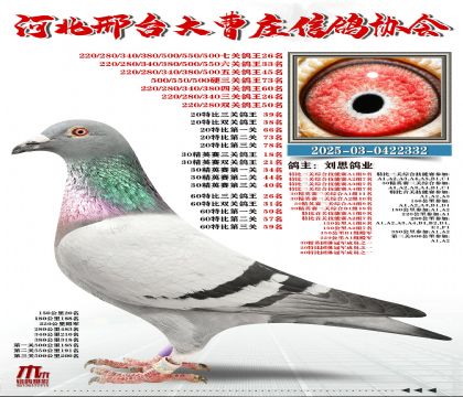 60�ر�����26��,20�ر�����39��