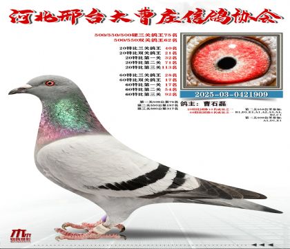 60�ر�����28��,20�ر�����40��