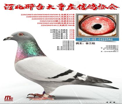 60�ر�����30��,���P(gu��n)����37��