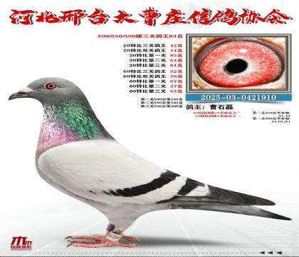 60�ر�����32��,20�ر�����42��