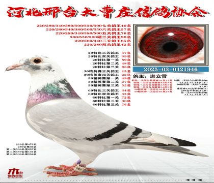 60�ر�����34��,20�ر�����47��