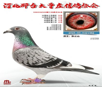 60�ر�����36��