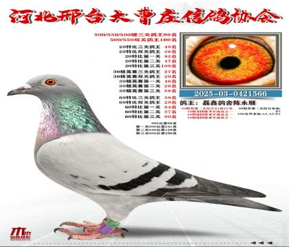 60�ر�����38��,20�ر�����49��