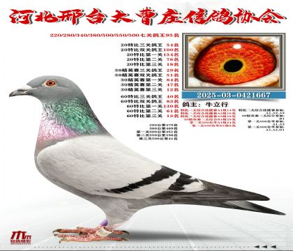 60�ر�����40��,20�ر�����54��