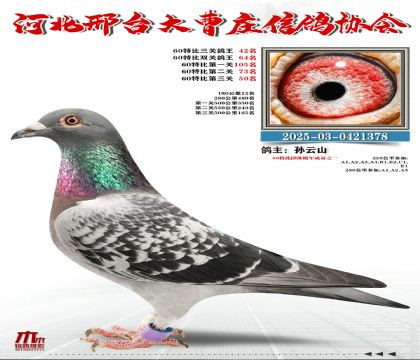 60�ر�����42��