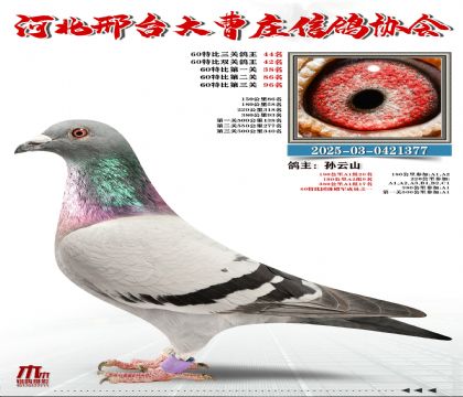 60�ر�����44��