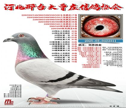 60�ر�����46��,20�ر�����62��