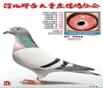 60�ر�����48��,20�ر�����64��