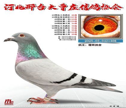 60�ر�����50��,20�ر�����66��