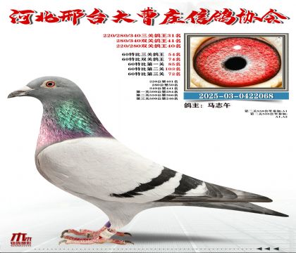 60�ر�����54��