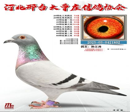 60�ر�����58��,20�ر�����73��