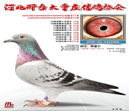 60�ر�����60��,30��Ӣ����39��