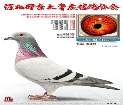 60�ر�����62��