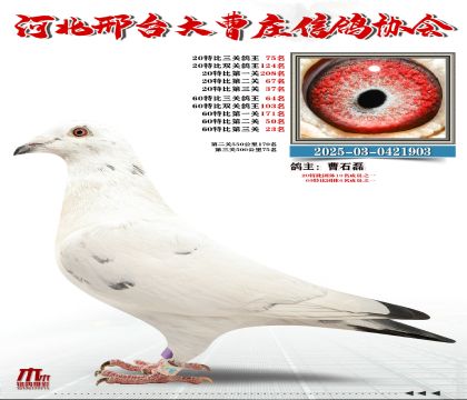 60�ر�����64��,20�ر�����75��