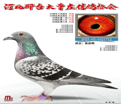 60�ر�����68��