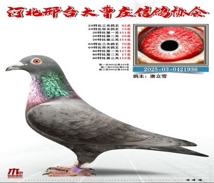 60�ر�����70��,20�ر�����82��